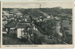 Freyburg - Blick Von Den Schweigenbergen - Verlag Heinrich Pretzsch Freyburg - Freyburg A. D. Unstrut