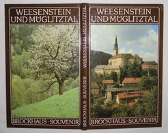 Brockhaus Souvenir: Weesenstein Und Müglitztal - Sonstige & Ohne Zuordnung