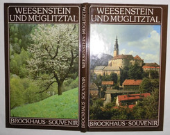 Brockhaus Souvenir: Weesenstein Und Müglitztal - Sonstige & Ohne Zuordnung