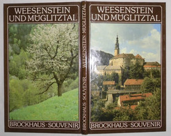 Brockhaus Souvenir: Weesenstein Und Müglitztal - Sonstige & Ohne Zuordnung