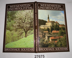 Weesenstein Und Müglitztal - Brockhaus Souvenir - Sonstige & Ohne Zuordnung