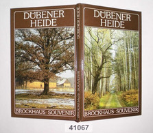 Dübener Heide- Brockhaus Souvenir - Sonstige & Ohne Zuordnung