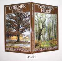 Dübener Heide- Brockhaus Souvenir - Sonstige & Ohne Zuordnung