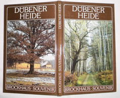 Brockhaus Souvenir: Dübener Heide - Sonstige & Ohne Zuordnung