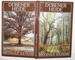 Brockhaus Souvenir: Dübener Heide - Sonstige & Ohne Zuordnung