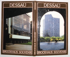 Brockhaus Souvenir: Dessau - Sonstige & Ohne Zuordnung