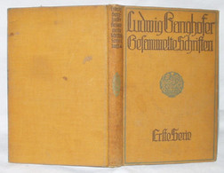 Ludwig Ganghofers Gesammelte Schriften - Hedendaagse Politiek