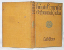 Ludwig Ganghofers Gesammelte Schriften - Politik & Zeitgeschichte