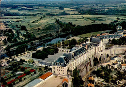 THOUARS   ( DEUX SEVRES )   VUE AERIENNE . LE CHATEAU ET LA VALLEE DU THOUET - Thouars