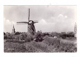 DOMBURG, Molen - Domburg