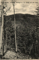 CPA AK DREI-AEHREN - Trois-BOIS - Waldpartie Mit Blick Auf Die Galz (451576) - Eyguieres