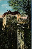 CPA AK LUTZELSTEIN - Altes Schloss (452845) - La Petite Pierre