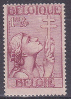 België 1933, Plakker MH, Fight Against Tuberculosis - Unused Stamps