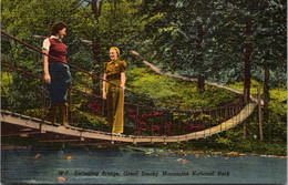 Tennessee Great Smoky Mountains Swinging Bridge Curteich - Smokey Mountains