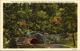 Tennessee Great Smoky Mountains One Of The Tunnels On Newfound Gap Highway Curteich - Smokey Mountains