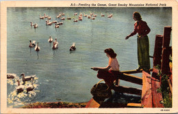 Tennessee Great Smoky Mountains Feeding The Geese Curteich - Smokey Mountains