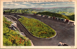 Tennessee Great Smoky Mountains Clingman's Dome Parking Area Curteich - Smokey Mountains