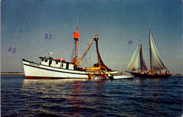 Massachusetts Cape Cod Fishermen Hauling Their Nets 1978 - Cape Cod