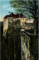 CPA AK La PETITE-PIERRE - LUTZELSTEIN - Altes Schloss - Vogesen (481959) - La Petite Pierre