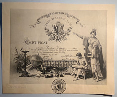 Certificat Collège De Genève 1894: Eugéne Wenger (Schweiz Suisse Scolaire School Schule Diplome Diploma Diplom - Diplomas Y Calificaciones Escolares