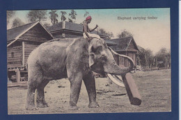 CPA éléphant Asie Métier Non Circulé - Elephants