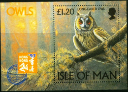 Isle Of Man 1997  SS  MNH  Birds Bird Oiseaux Oiseau Long-eared Owl - Hong Kong '97 Stamp Exhibition Owls - Owls