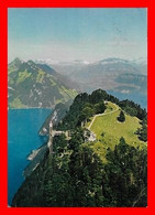 CPSM/gf  ENNETBÜRGEN (Suisse)   Bûrgenstock-Hotels Schweiz...I529 - Ennetbürgen