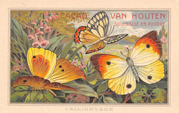 Image  14.5 X 9.5 Cm     Chromo.  Papillons Callidryades Publicité Chocolat Van Houten   (voir Scan) - Van Houten