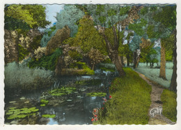 85 - Sainte-Hermine  -  La Rivière La Smagne Sous Les Ombrages - Sainte Hermine