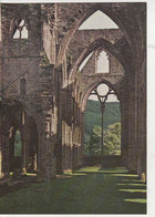 TINTERN ABBEY  Mint - Monmouthshire