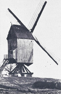 BORNEM - Ons Molenheem - Moulin à Vent - Windmolen - Windmill - Windmühle - Bornem