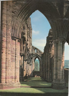 TINTERN ABBEY  Mint - Monmouthshire