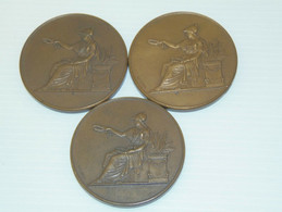 3 MEDAILLES TABLEAU D'HONNEUR BRONZE LYCEE D'ANGOULEME 1913 1914 1915 Collection - Professionals / Firms