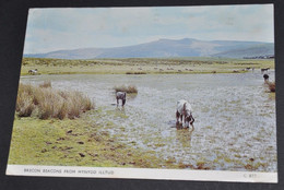 Brecon Beacons From Mynydd Illtud - Breconshire