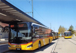 Pfäffikon  Postauto Q   Limitierte Auflage! - Pfäffikon