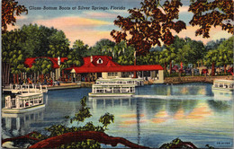 Florida Silver Springs Glass Bottom Boats Curteich - Silver Springs