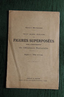 MEDECINE : Superbe Planche De Figures Superposées, Cours Brémant : Musée Scolaire : Tête Et Cou. - Otros Planes