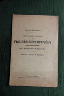 MEDECINE : Superbe Planche De Figures Superposées, Cours Brémant : Musée Scolaire : Tronc Et Membres. - Other Plans