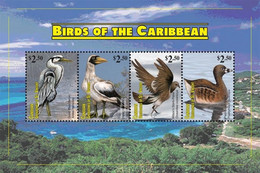 Canouan Grenadines Of St. Vincent 2011 Birds - St.Vincent & Grenadines