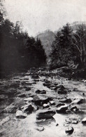 Leatherwood Creek In The Kentucky Mountains KY - Post Card Not Circulated - Altri & Non Classificati