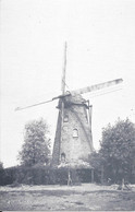 AARDOOIE - ARDOOIE - Ons Molenheem - Moulin à Vent - Windmolen - Windmill - Windmühle - Ardooie