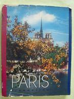 PARIS. LIVRE ILLUSTRE.  100_2853 - Parigi