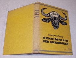 Geheimnisse Der Dschungeln - Südindische Erlebnisse Und Abenteuer - Adventure