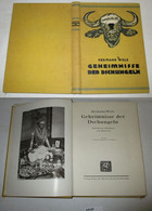 Geheimnisse Der Dschungeln - Südindische Erlebnisse Und Abenteuer - Aventura