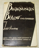 Begegnungen Mit Bülow Und Anderen - Biographien & Memoiren
