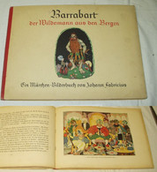 Barrabart, Der Wildemann Aus Den Bergen - Ein Märchen-Bilderbuch - Cuentos