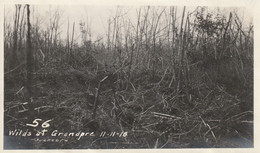 Photo Novembre 1918 GRANDPRE - En Forêt (A232, Ww1, Wk 1) - Other & Unclassified