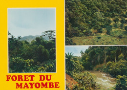 CONGO - Forêt De Mayombe - Multi Vues - CPM Non Voyagée - Ed. IRIS - Pointe-Noire