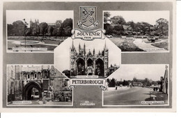 Canada Ontario Peterborough Souvenir Multi Vue Cathedral Swimming Pool Gardens Gateway Bishop New Bridge - Peterborough