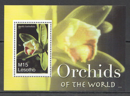 AA1068 2007 LESOTHO FLOWERS ORCHIDS OF THE WORLD FLORA BL MNH - Orchidées